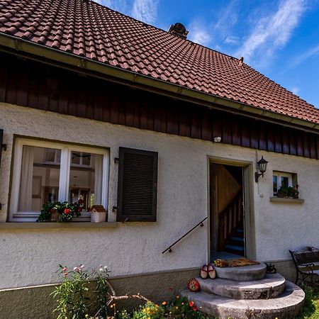Gartenferienhaus "Annaluise" Schönau im Schwarzwald Eksteriør billede