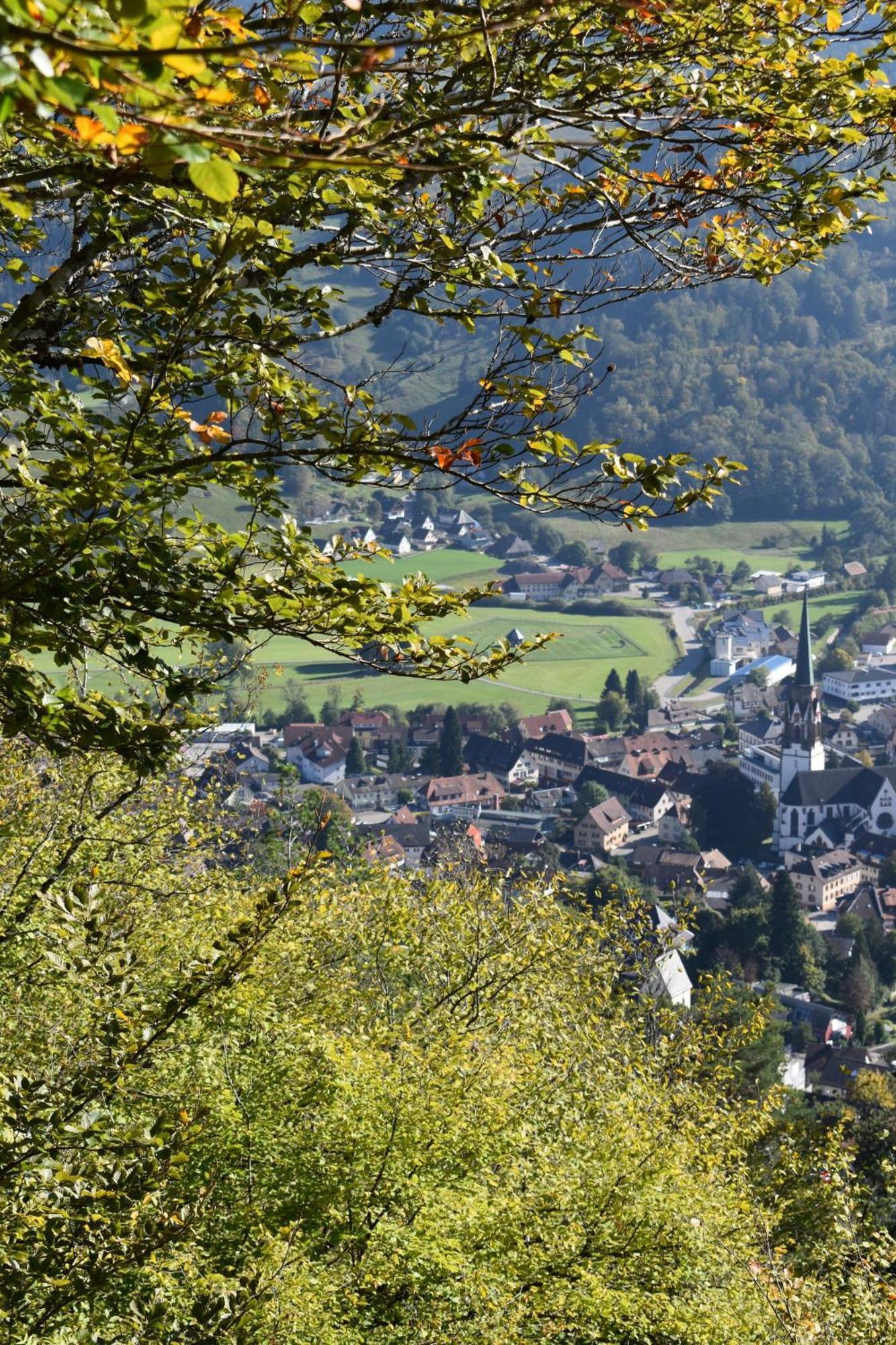 Gartenferienhaus "Annaluise" Schönau im Schwarzwald Eksteriør billede