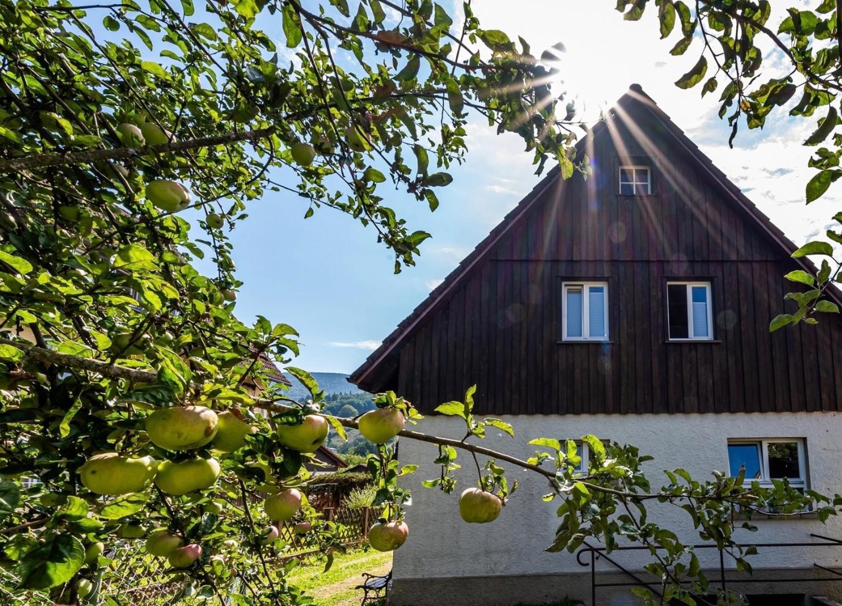 Gartenferienhaus "Annaluise" Schönau im Schwarzwald Eksteriør billede