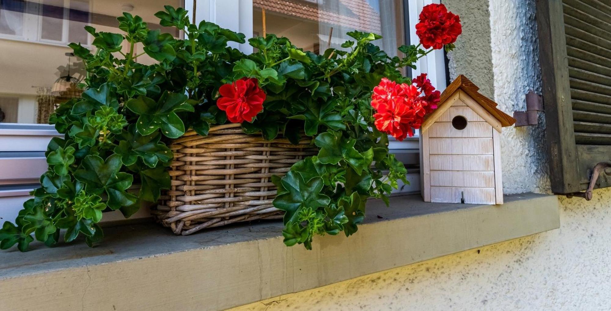 Gartenferienhaus "Annaluise" Schönau im Schwarzwald Eksteriør billede