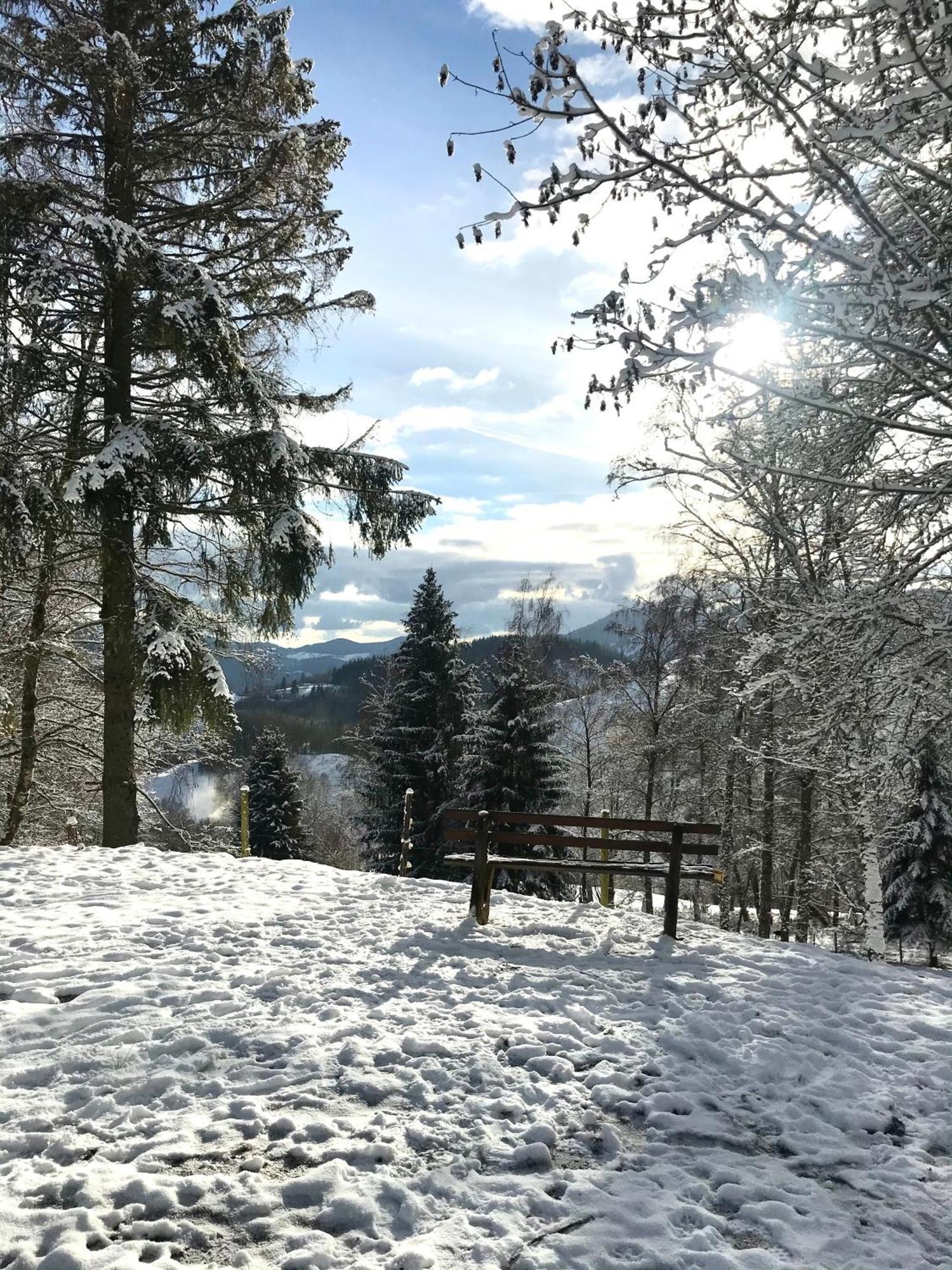 Gartenferienhaus "Annaluise" Schönau im Schwarzwald Eksteriør billede