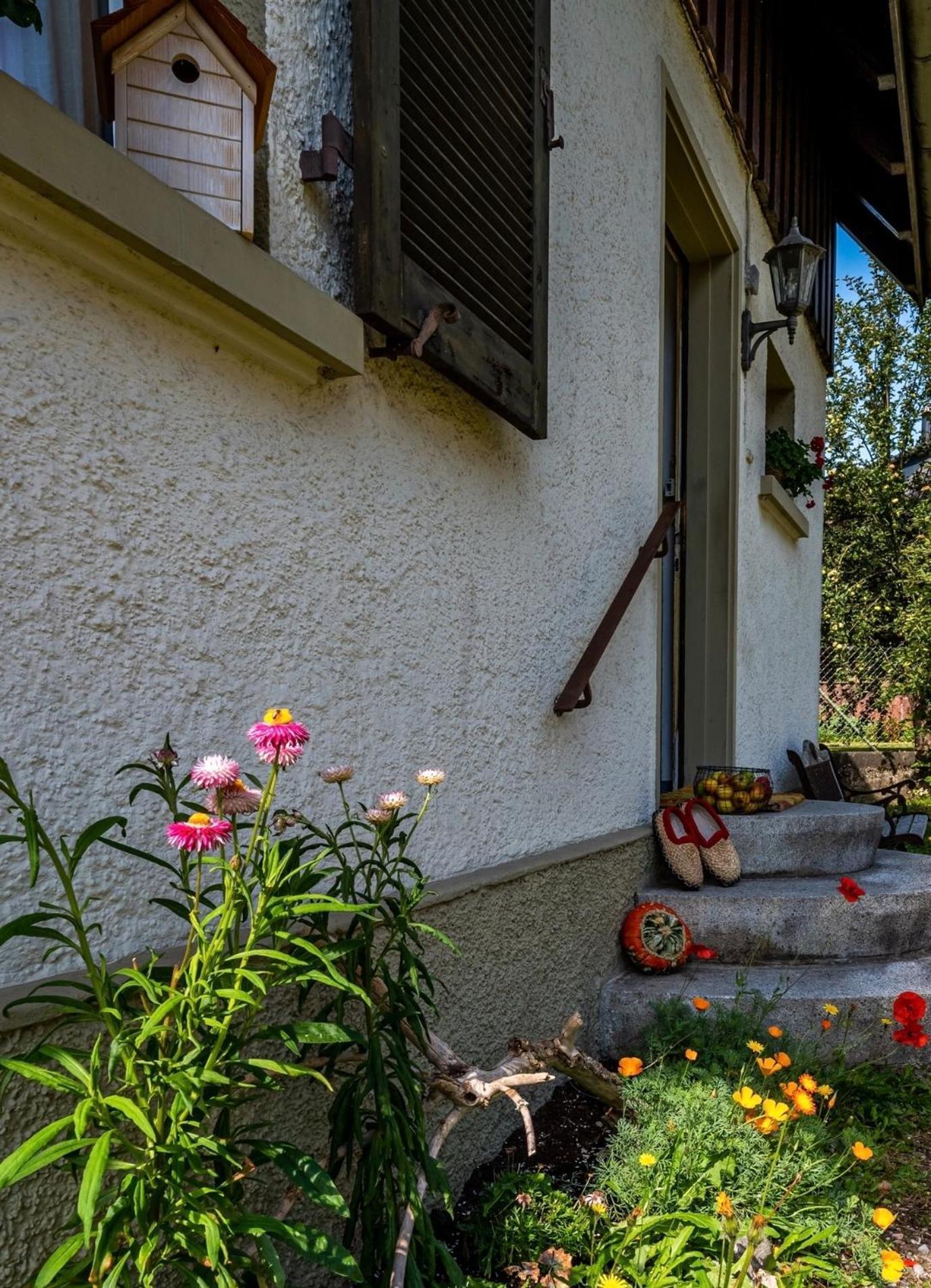Gartenferienhaus "Annaluise" Schönau im Schwarzwald Eksteriør billede